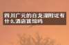 四川广元的白龙湖附近有什么酒店旅馆吗