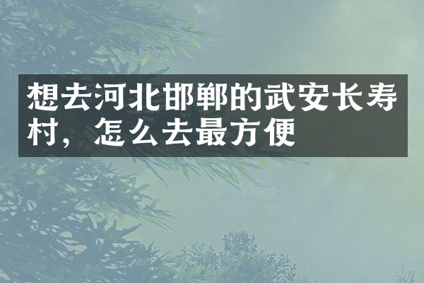 想去河北邯郸的武安长寿村，怎么去最方便