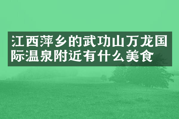 江西萍乡的武功山万龙国际温泉附近有什么美食
