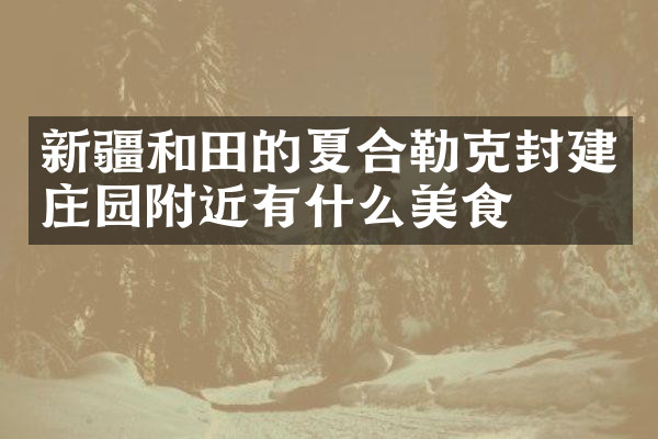 新疆和田的夏合勒克封建庄园附近有什么美食