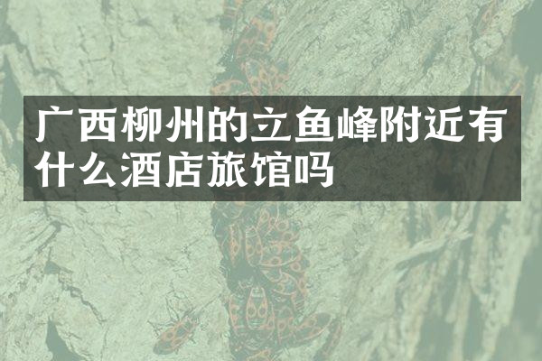 广西柳州的立鱼峰附近有什么酒店旅馆吗