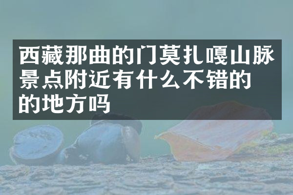 西藏那曲的门莫扎嘎山脉景点附近有什么不错的住的地方吗