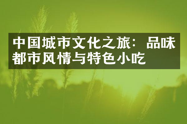 中国城市文化之旅：品味都市风情与特色小吃