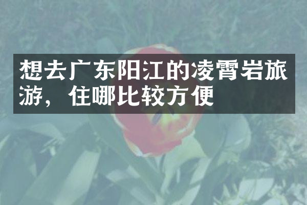 想去广东阳江的凌霄岩旅游，住哪比较方便