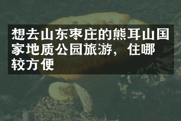 想去山东枣庄的熊耳山国家地质公园旅游，住哪比较方便
