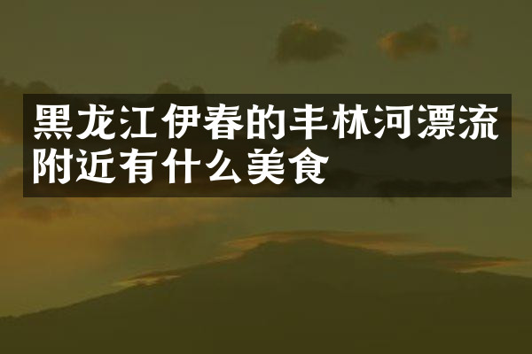 黑龙江伊春的丰林河漂流附近有什么美食