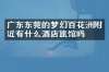 广东东莞的梦幻百花洲附近有什么酒店旅馆吗