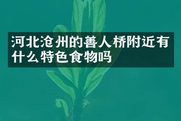 河北沧州的善人桥附近有什么特色食物吗
