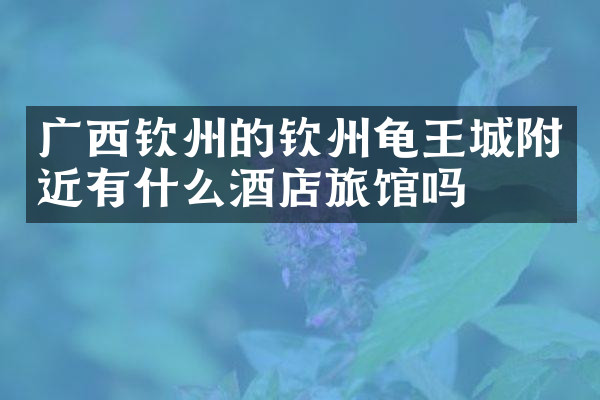 广西钦州的钦州龟王城附近有什么酒店旅馆吗
