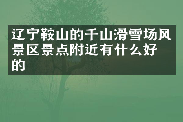 辽宁鞍山的千山滑雪场风景区景点附近有什么好吃的