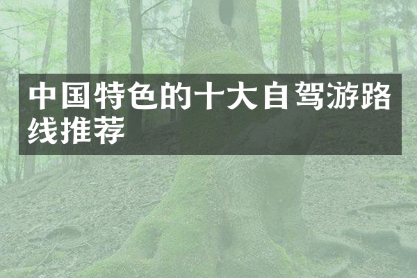 中国特色的十大自驾游路线推荐