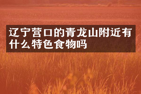 辽宁营口的青龙山附近有什么特色食物吗