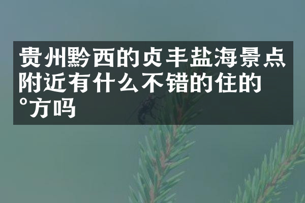 贵州黔西的贞丰盐海景点附近有什么不错的住的地方吗