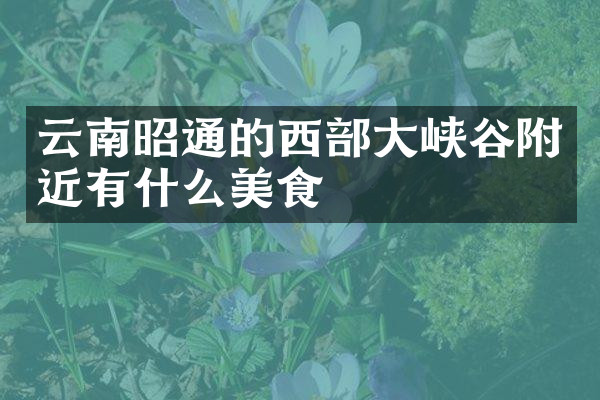 云南昭通的西部大峡谷附近有什么美食
