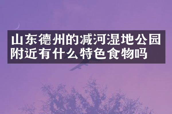山东德州的减河湿地公园附近有什么特色食物吗