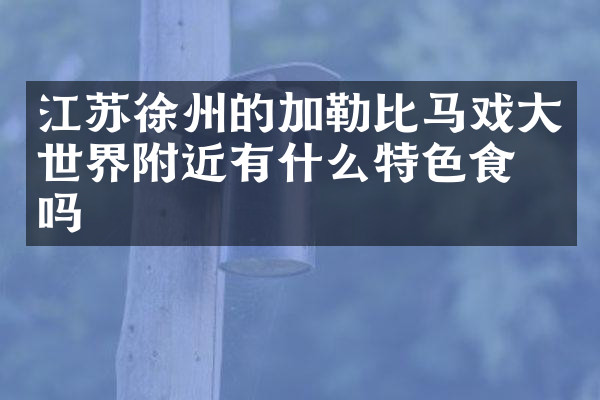 江苏徐州的加勒比马戏大世界附近有什么特色食物吗