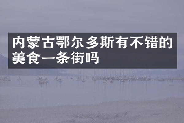 内蒙古鄂尔多斯有不错的美食一条街吗