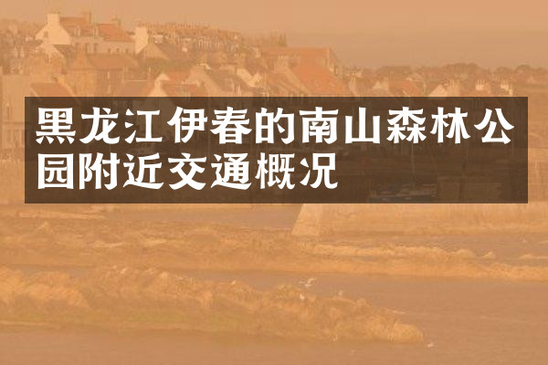 黑龙江伊春的南山森林公园附近交通概况