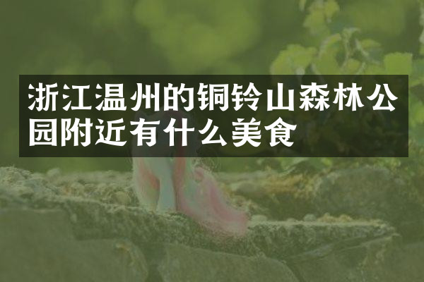 浙江温州的铜铃山森林公园附近有什么美食