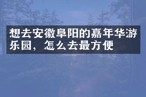 想去安徽阜阳的嘉年华游乐园，怎么去最方便