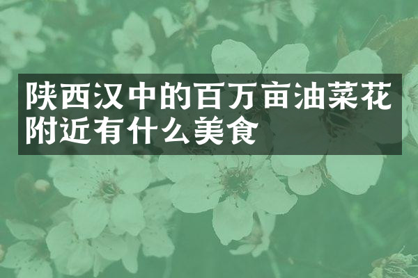 陕西汉中的百万亩油菜花附近有什么美食