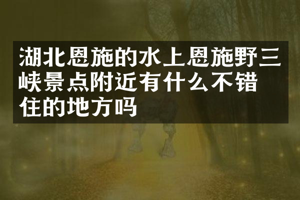 湖北恩施的水上恩施野三峡景点附近有什么不错的住的地方吗