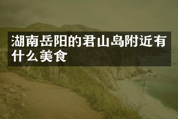 湖南岳阳的君山岛附近有什么美食