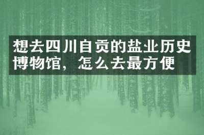 想去四川自贡的盐业历史博物馆，怎么去最方便
