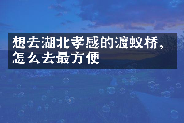 想去湖北孝感的渡蚁桥，怎么去最方便