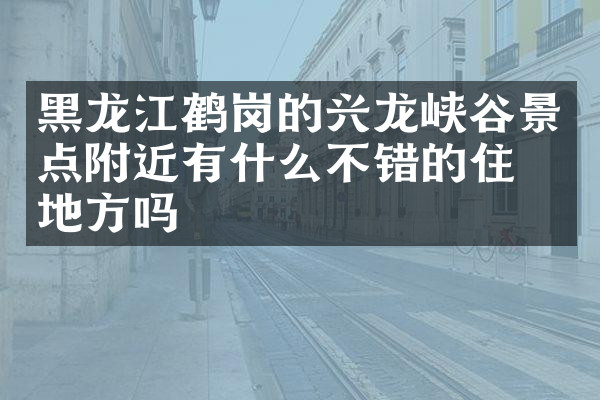 黑龙江鹤岗的兴龙峡谷景点附近有什么不错的住的地方吗