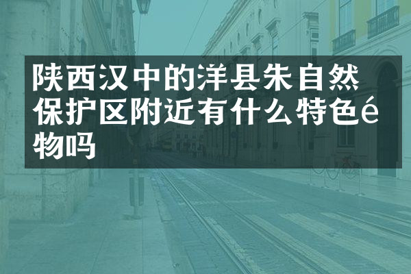 陕西汉中的洋县朱鹮自然保护区附近有什么特色食物吗