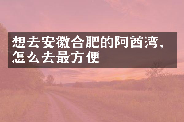 想去安徽合肥的阿酋湾，怎么去最方便