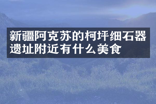 新疆阿克苏的柯坪细石器遗址附近有什么美食