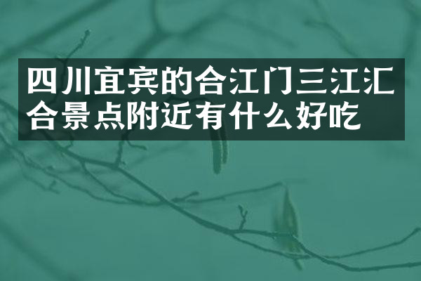 四川宜宾的合江门三江汇合景点附近有什么好吃的