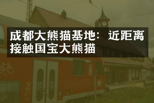 成都大熊猫基地：近距离接触国宝大熊猫