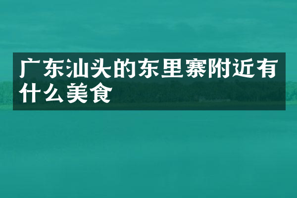 广东汕头的东里寨附近有什么美食