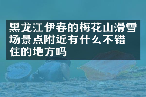 黑龙江伊春的梅花山滑雪场景点附近有什么不错的住的地方吗