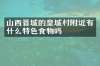 山西晋城的皇城村附近有什么特色食物吗