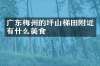 广东梅州的坪山梯田附近有什么美食