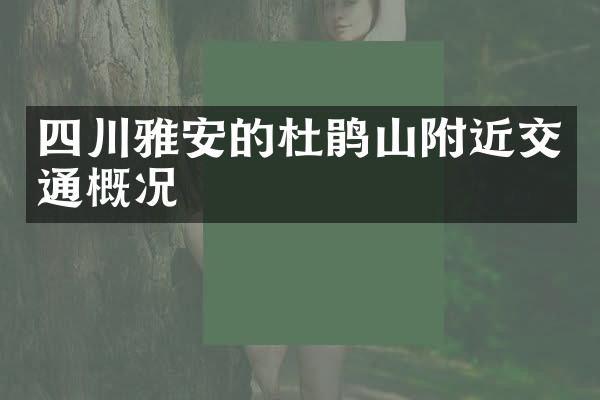 四川雅安的杜鹃山附近交通概况