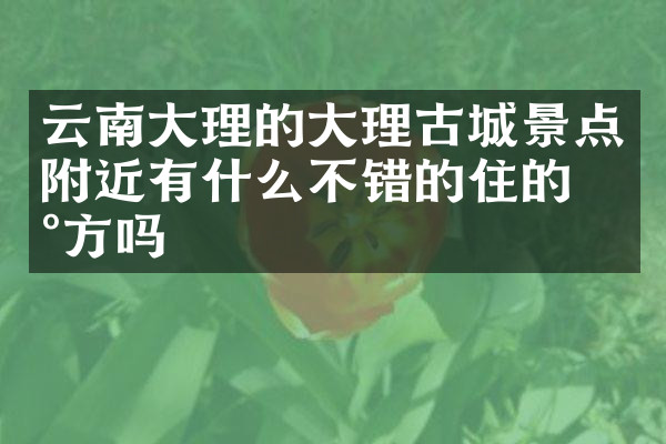 云南大理的大理古城景点附近有什么不错的住的地方吗