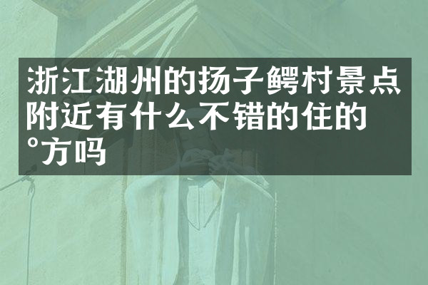 浙江湖州的扬子鳄村景点附近有什么不错的住的地方吗