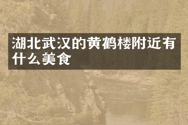 湖北武汉的黄鹤楼附近有什么美食