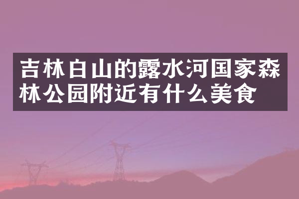吉林白山的露水河国家森林公园附近有什么美食
