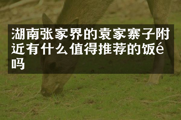 湖南张家界的袁家寨子附近有什么值得推荐的饭馆吗