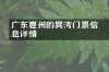 广东惠州的巽竂湾门票信息详情