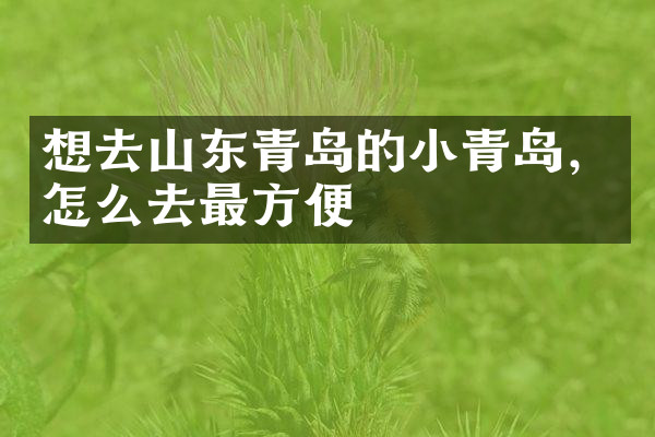 想去山东青岛的小青岛，怎么去最方便