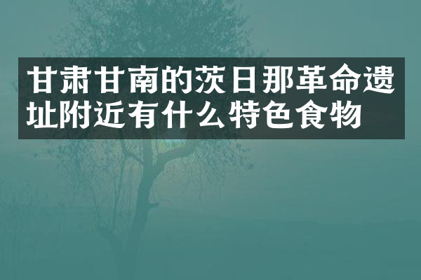 甘肃甘南的茨日那革命遗址附近有什么特色食物吗