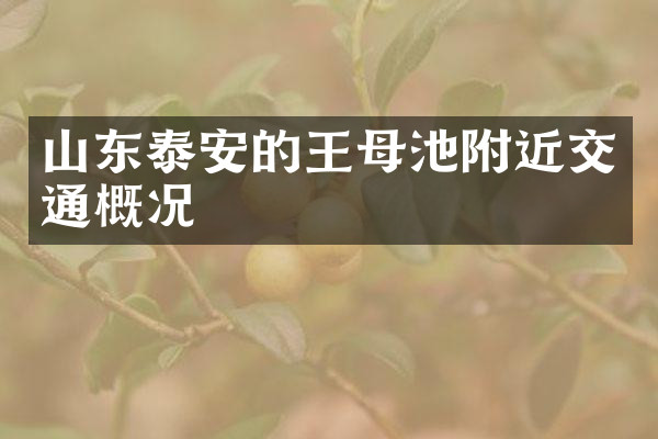 山东泰安的王母池附近交通概况