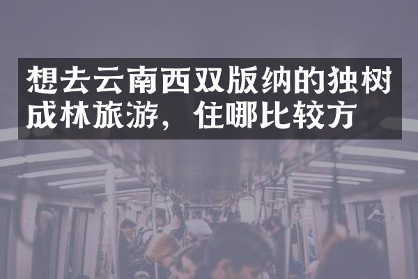 想去云南西双版纳的独树成林旅游，住哪比较方便